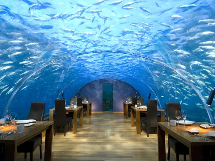Come dine in our underwater restaurant