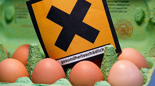 GERMANY DIOXIN EGGS
