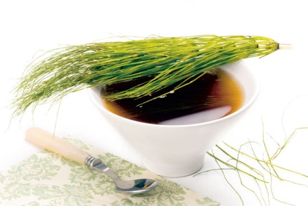 12711_stock-photo-herbal-tea-horsetail-s-infusion-in-a-white-cup-equisetum-arvense-naturopathy-selective-focus-shutterstock_41390665_630x0