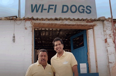 wifi-dogs