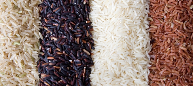 1205135_rice_tree_color_stock.xchng-poohsayhi_670x300