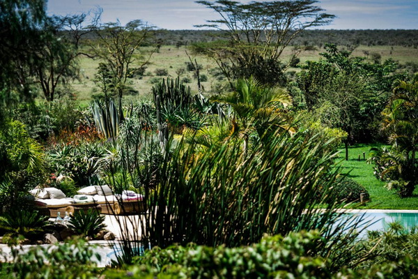 Extraordinary Oasis of Beauty - Segera Retreat, Laikipia, Kenya