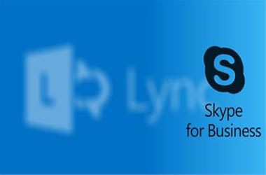 skype for buissnis