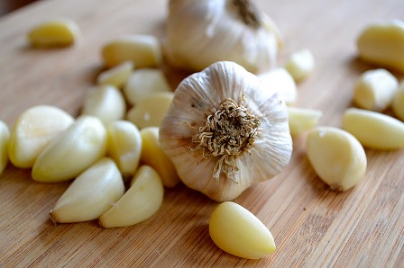 garlic3