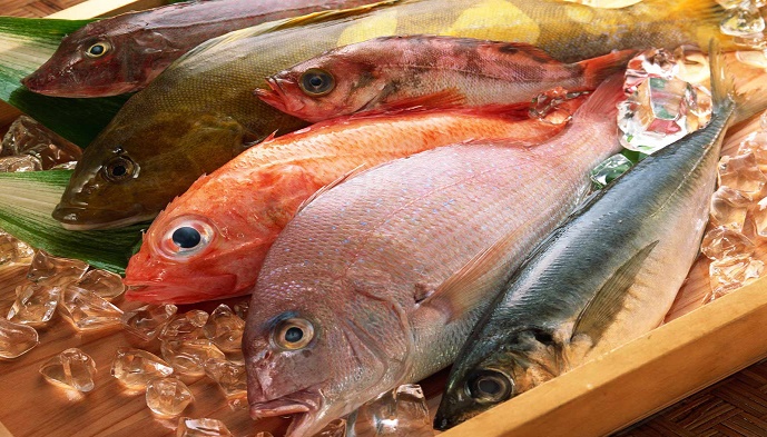 fresh_fish__sea_food_20141222_1043064734