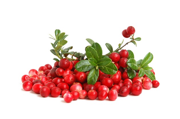 6845_stock-photo-scattering-of-cranberries-on-white-background-shutterstock_35100763_630x0