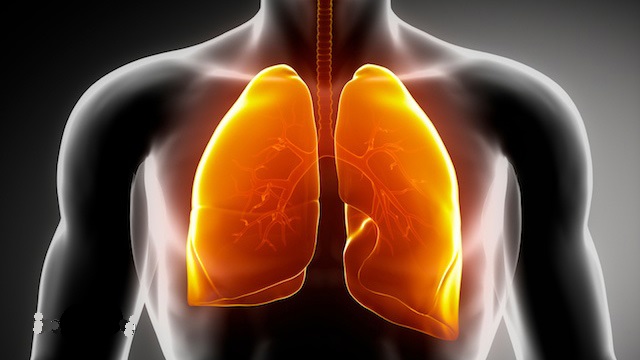 Lungs-Respiratory
