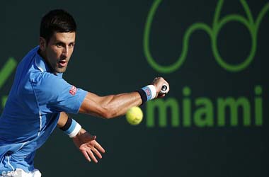nole majami