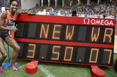 dibaba 333
