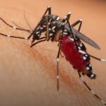 7 причини зошто комарците ве касаат