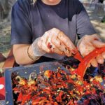 Ќе останат ли теглите празни? Народот се откажува од скапата зимница